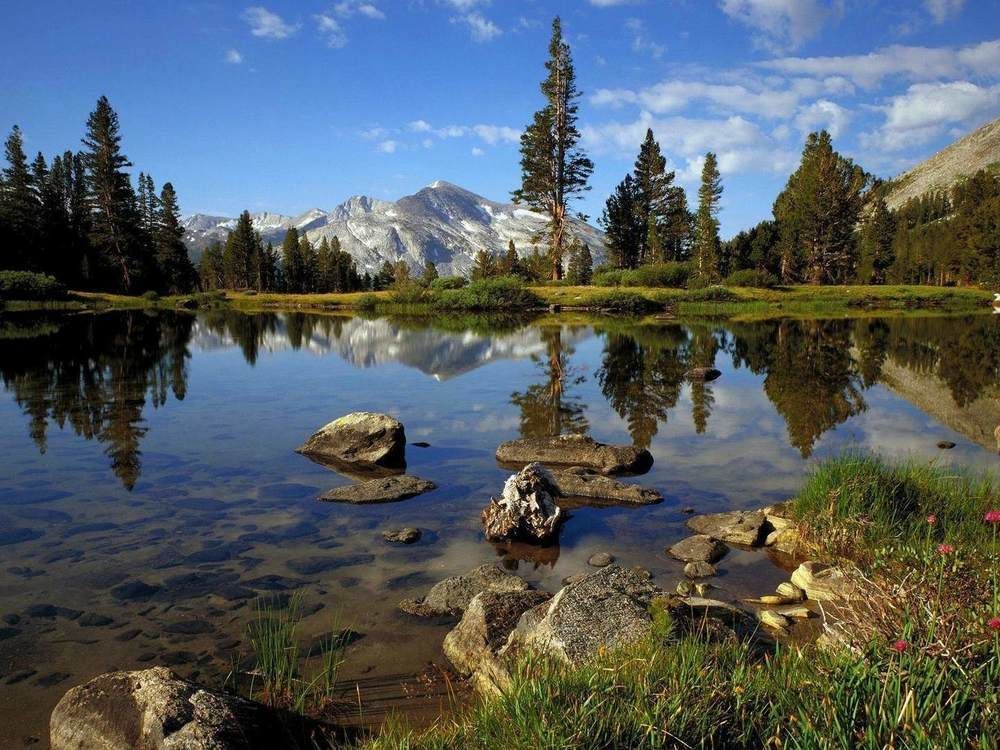 Lower Cascades Yosemite West Εξωτερικό φωτογραφία